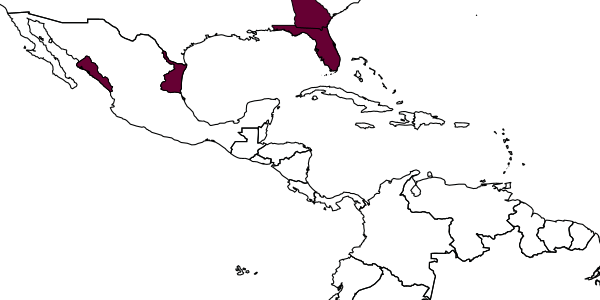 map of Encarsia hamoni     Evans & Polaszek, 1998